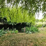 En Bord De Riviere 韦尔蒂