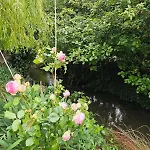 En Bord De Riviere 韦尔蒂