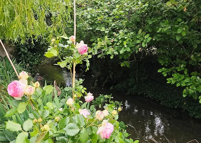 En Bord De Rivière Blancs-Coteaux