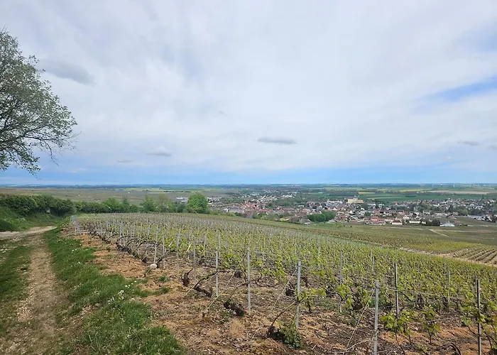 En Bord De Rivière Hébergement de vacances